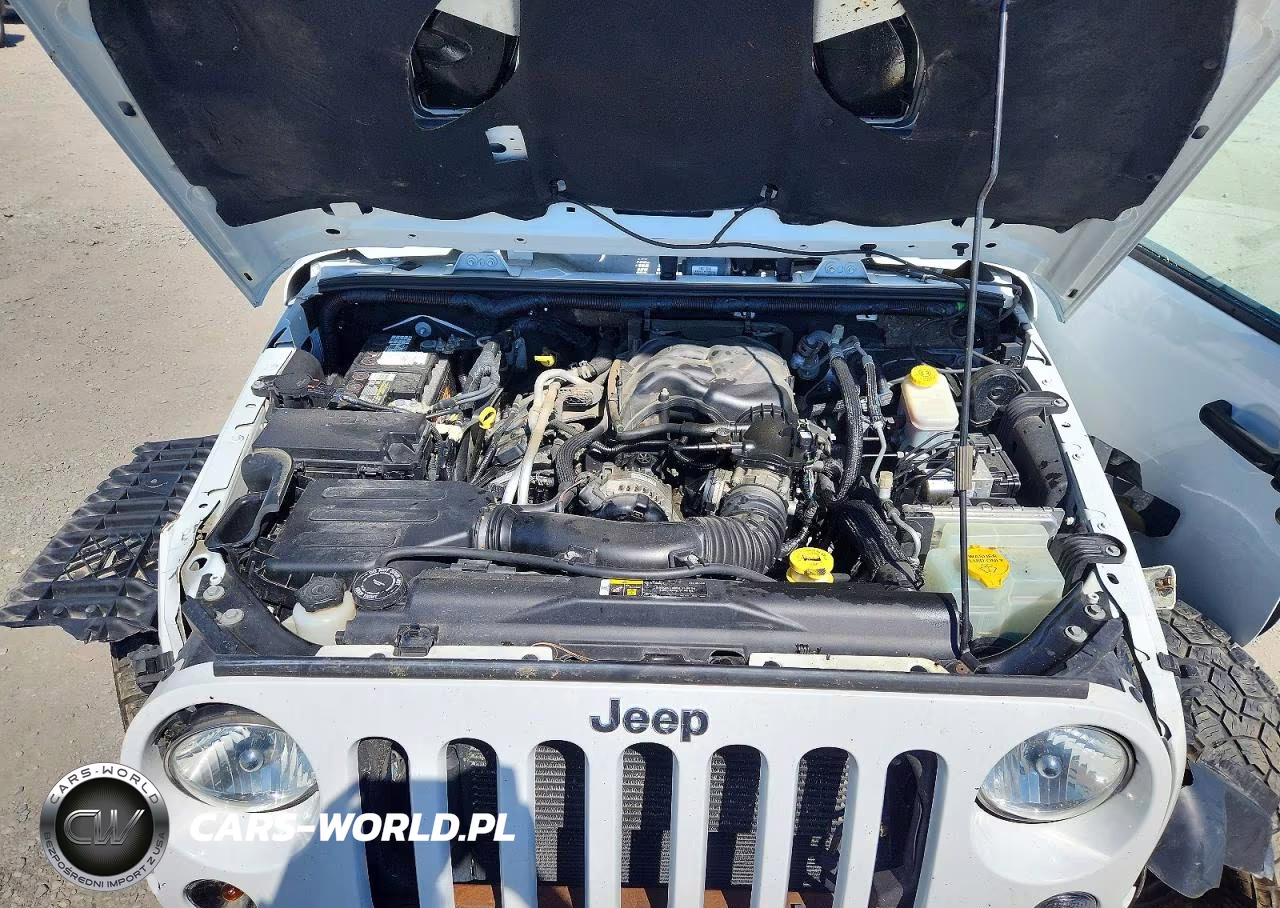 2017 Jeep Wrangler VIN:1C4BJWDG4HL745604 - 12