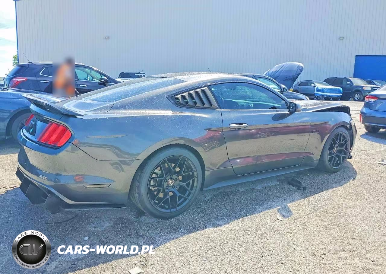 2016 Ford Mustang Gt VIN:1FA6P8CF5G5327162 - 3
