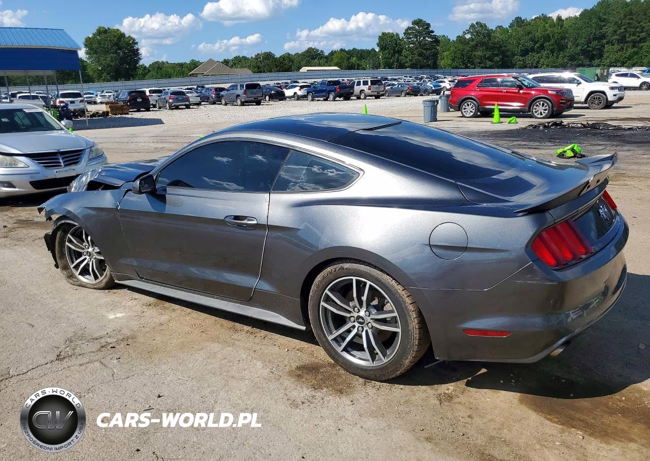 2017 Ford Mustang VIN:1FA6P8TH3H5306703 - 2