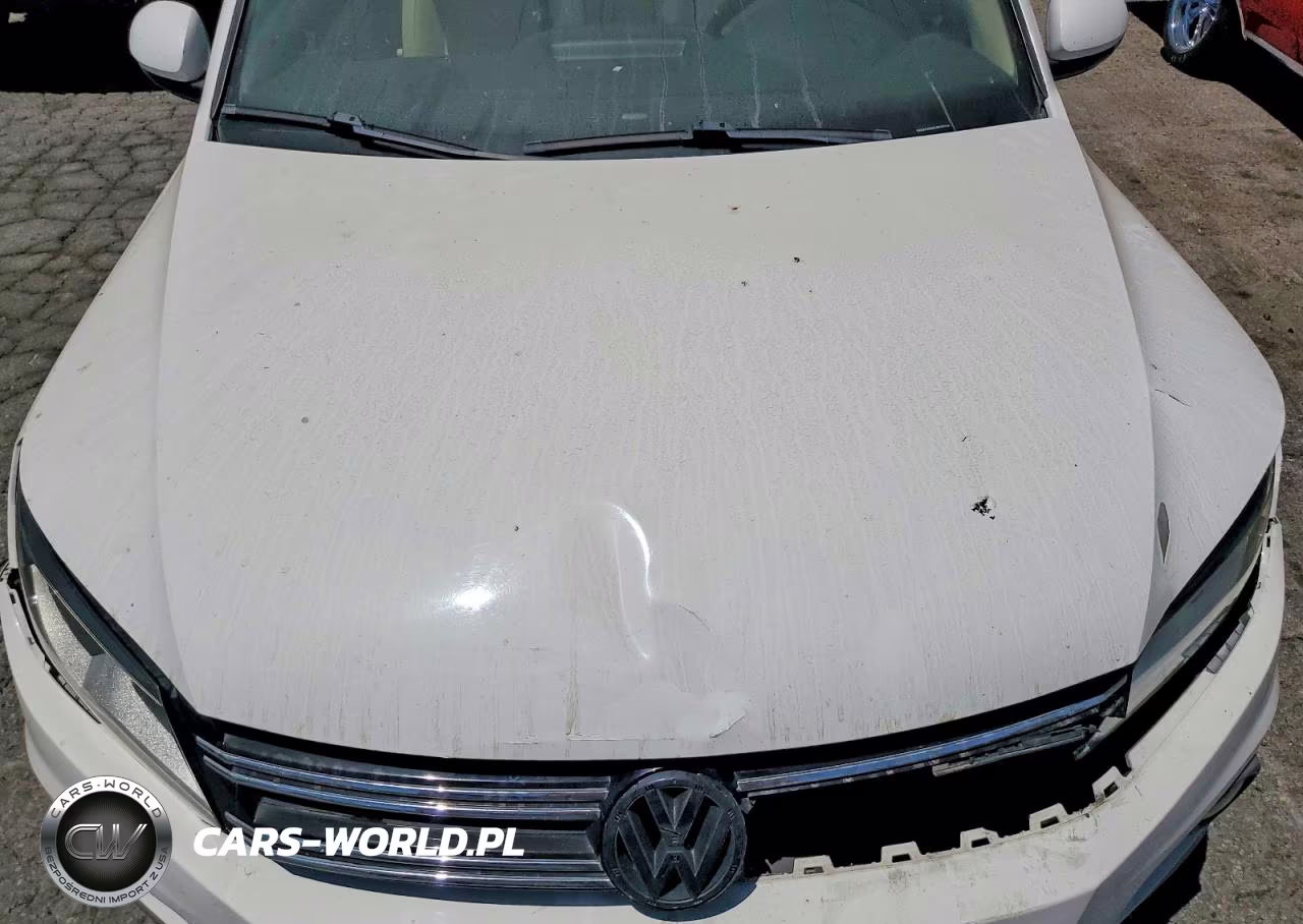 2012 Volkswagen Tiguan S VIN:WVGAV7AX8CW530532 - 12