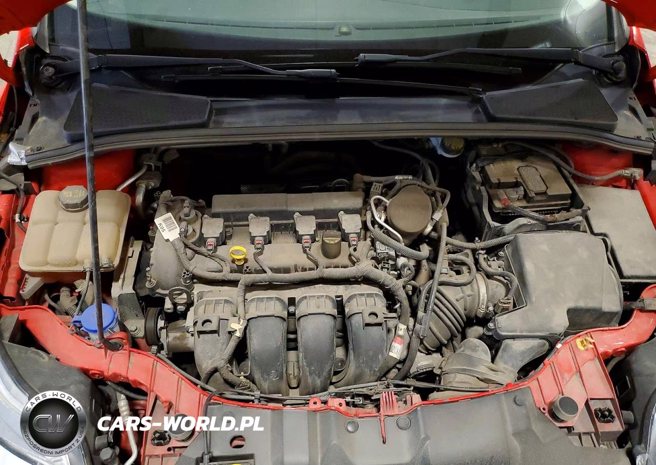 2014 Ford Focus Se VIN:1FADP3F23EL432018 - 11