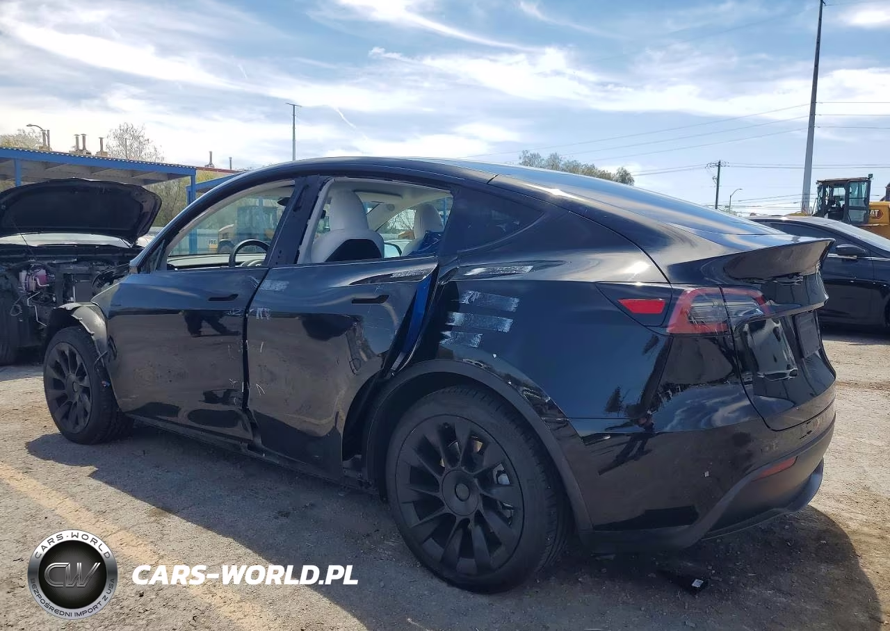 2025 Tesla Model Y VIN:7SAYGAEE7SF239402 - 2