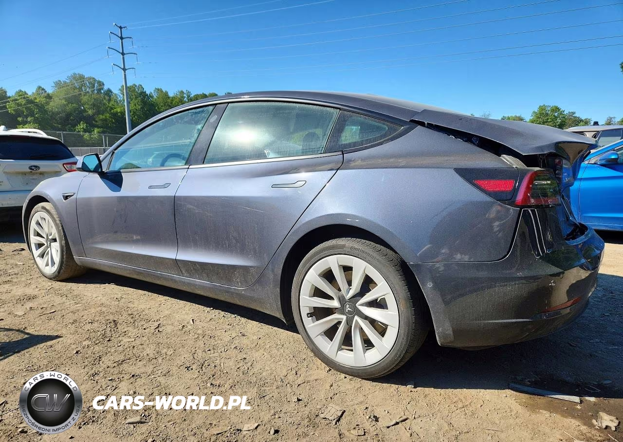 2022 Tesla Model 3 VIN:5YJ3E1EB0NF124065 - 2