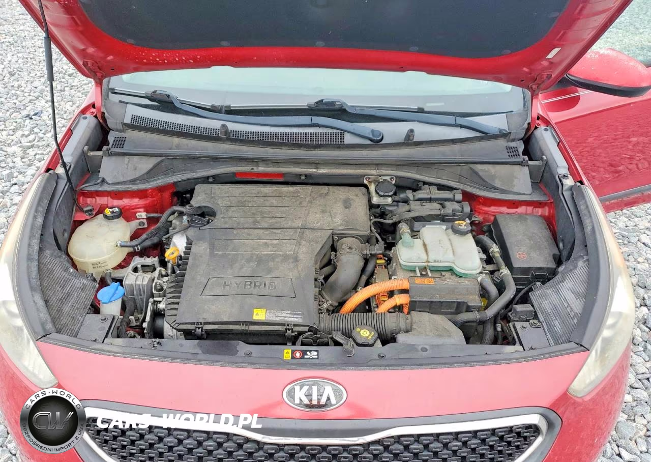 2017 Kia Niro Fe VIN:KNDCB3LC6H5082071 - 11