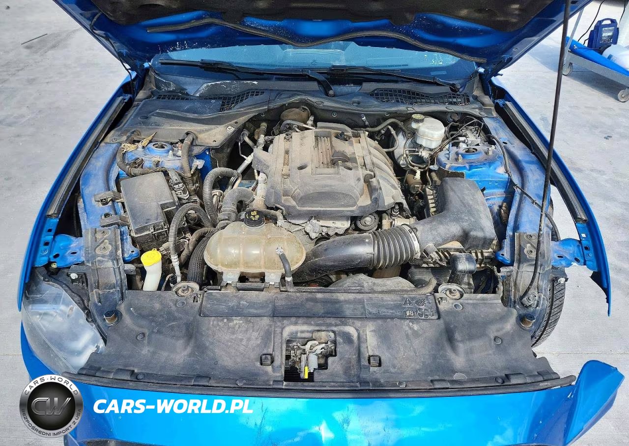 2019 Ford Mustang VIN:1FA6P8TH3K5173271 - 11