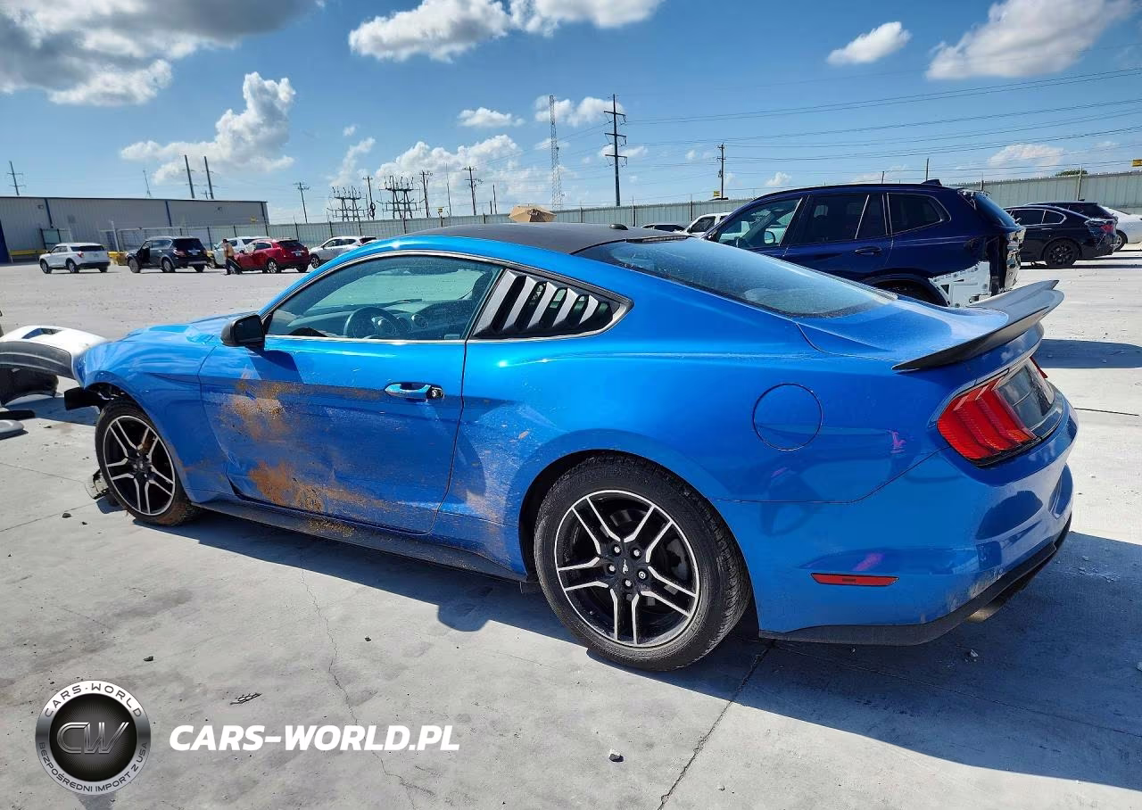 2019 Ford Mustang VIN:1FA6P8TH3K5173271 - 2