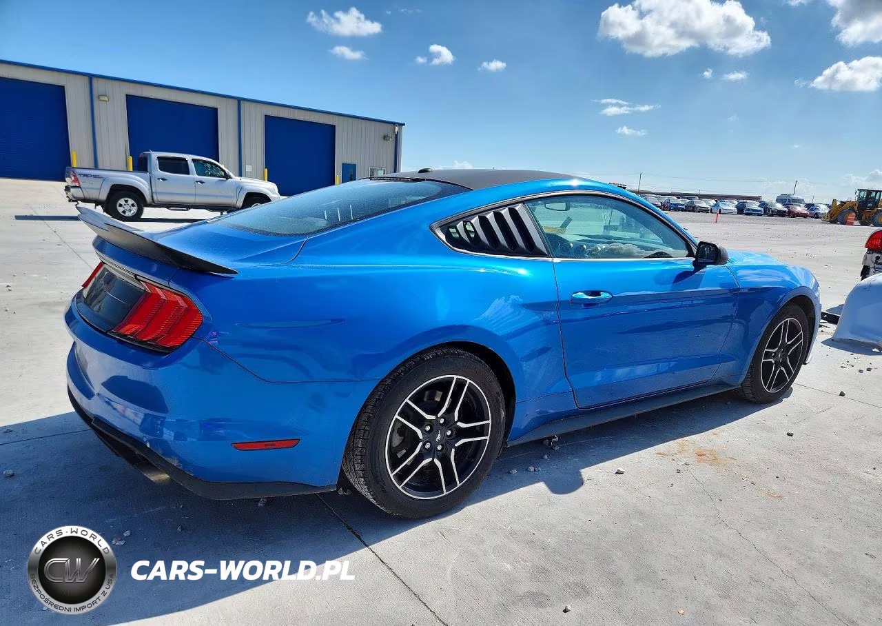2019 Ford Mustang VIN:1FA6P8TH3K5173271 - 3