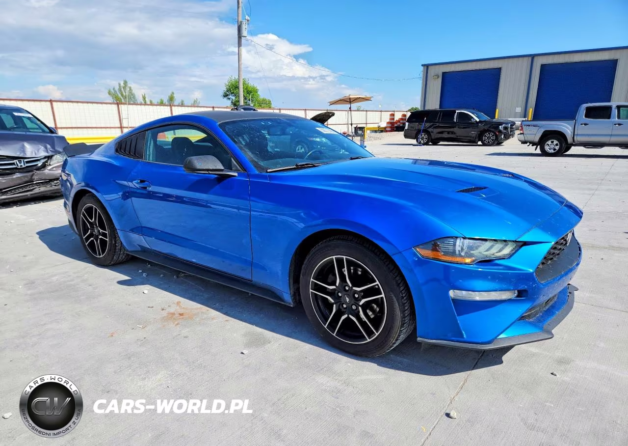 2019 Ford Mustang VIN:1FA6P8TH3K5173271 - 4