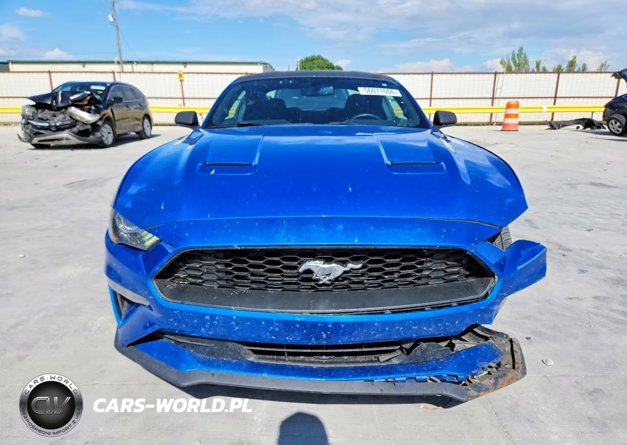 2019 Ford Mustang VIN:1FA6P8TH3K5173271 - 5