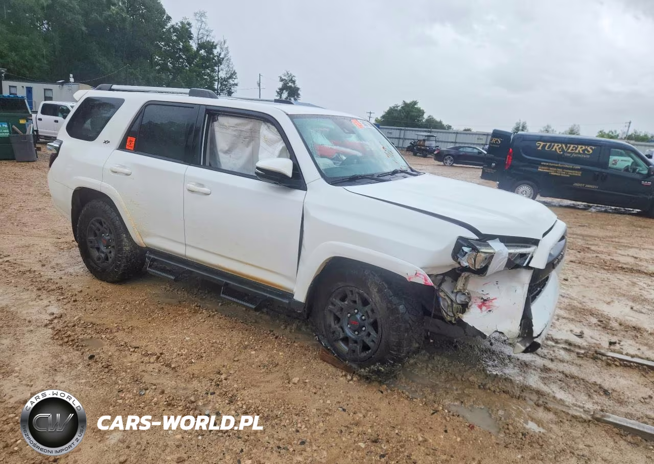 2020 Toyota 4Runner Sr5 Premium VIN:JTEBU5JR9L5825190 - 4