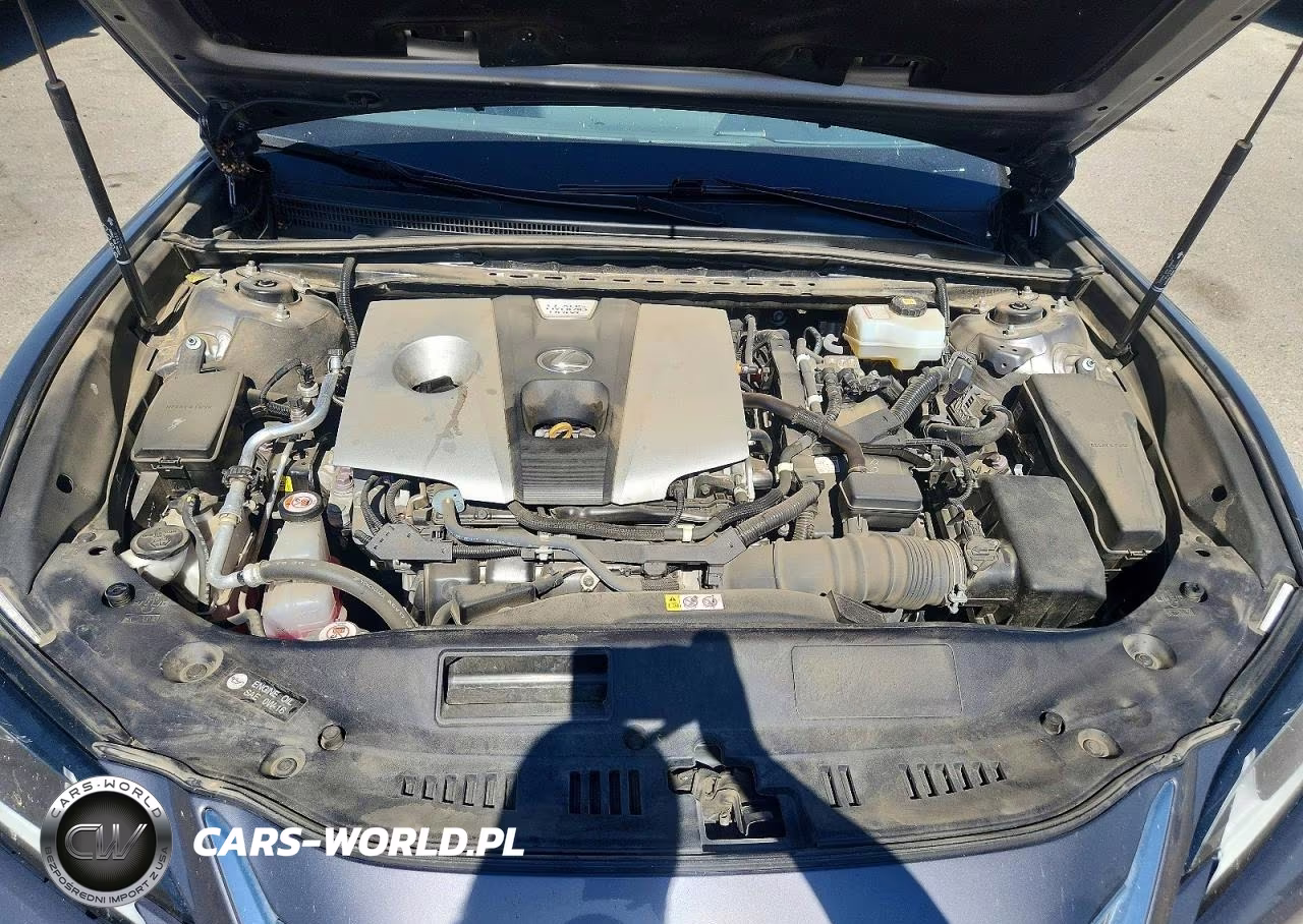 2021 Lexus Es 300H VIN:58ADA1C17MU008091 - 11