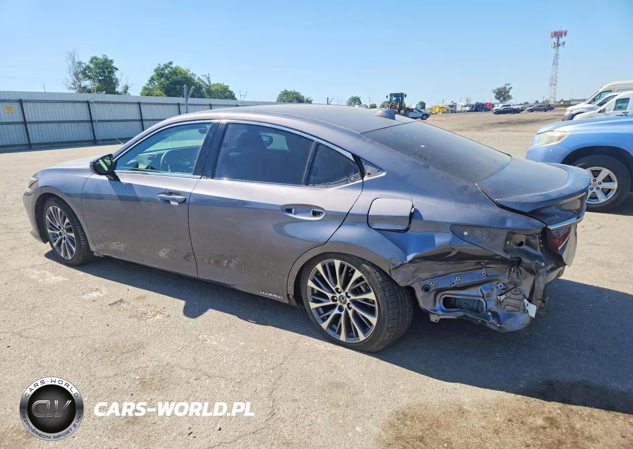 2021 Lexus Es 300H VIN:58ADA1C17MU008091 - 2