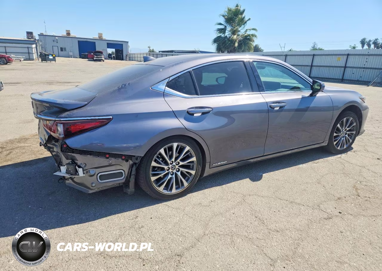 2021 Lexus Es 300H VIN:58ADA1C17MU008091 - 3