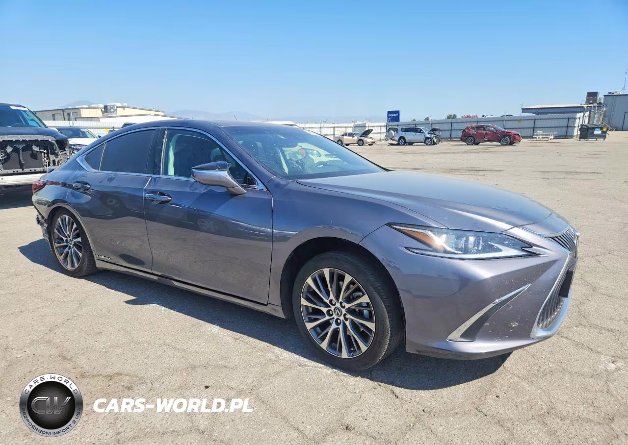 2021 Lexus Es 300H VIN:58ADA1C17MU008091 - 4