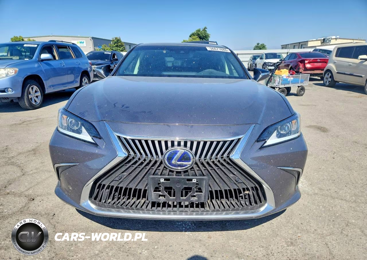 2021 Lexus Es 300H VIN:58ADA1C17MU008091 - 5