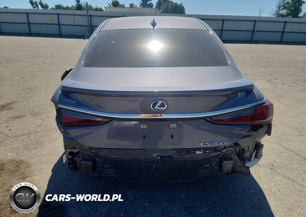 2021 Lexus Es 300H VIN:58ADA1C17MU008091 - 6