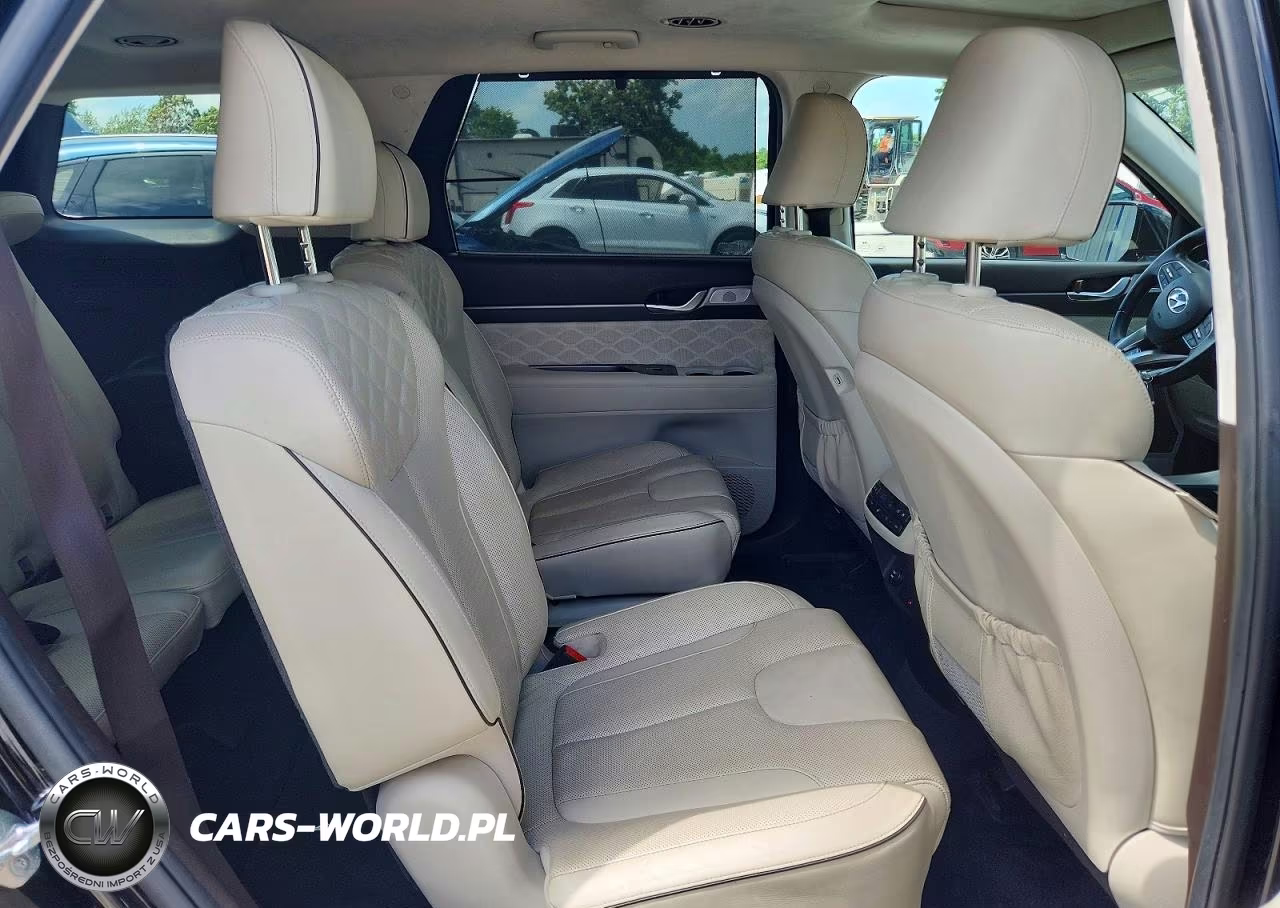 2020 Hyundai Palisade Limited VIN:KM8R5DHE7LU065906 - 11