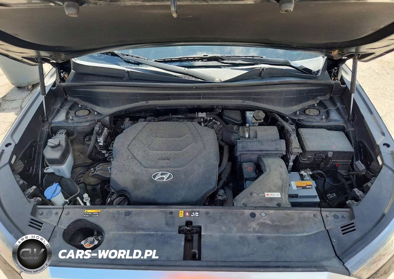 2020 Hyundai Palisade Limited VIN:KM8R5DHE7LU065906 - 12