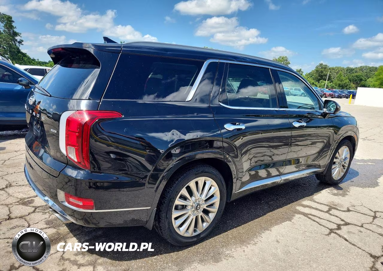 2020 Hyundai Palisade Limited VIN:KM8R5DHE7LU065906 - 3