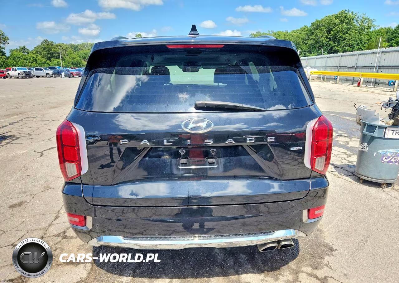 2020 Hyundai Palisade Limited VIN:KM8R5DHE7LU065906 - 6