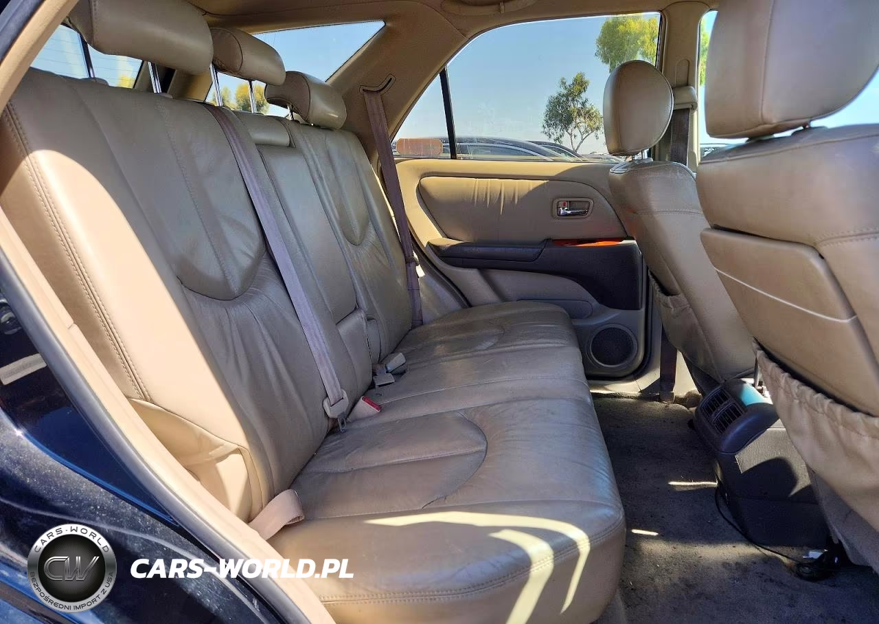 2001 Lexus Rx 300 VIN:JTJGF10U510103127 - 10