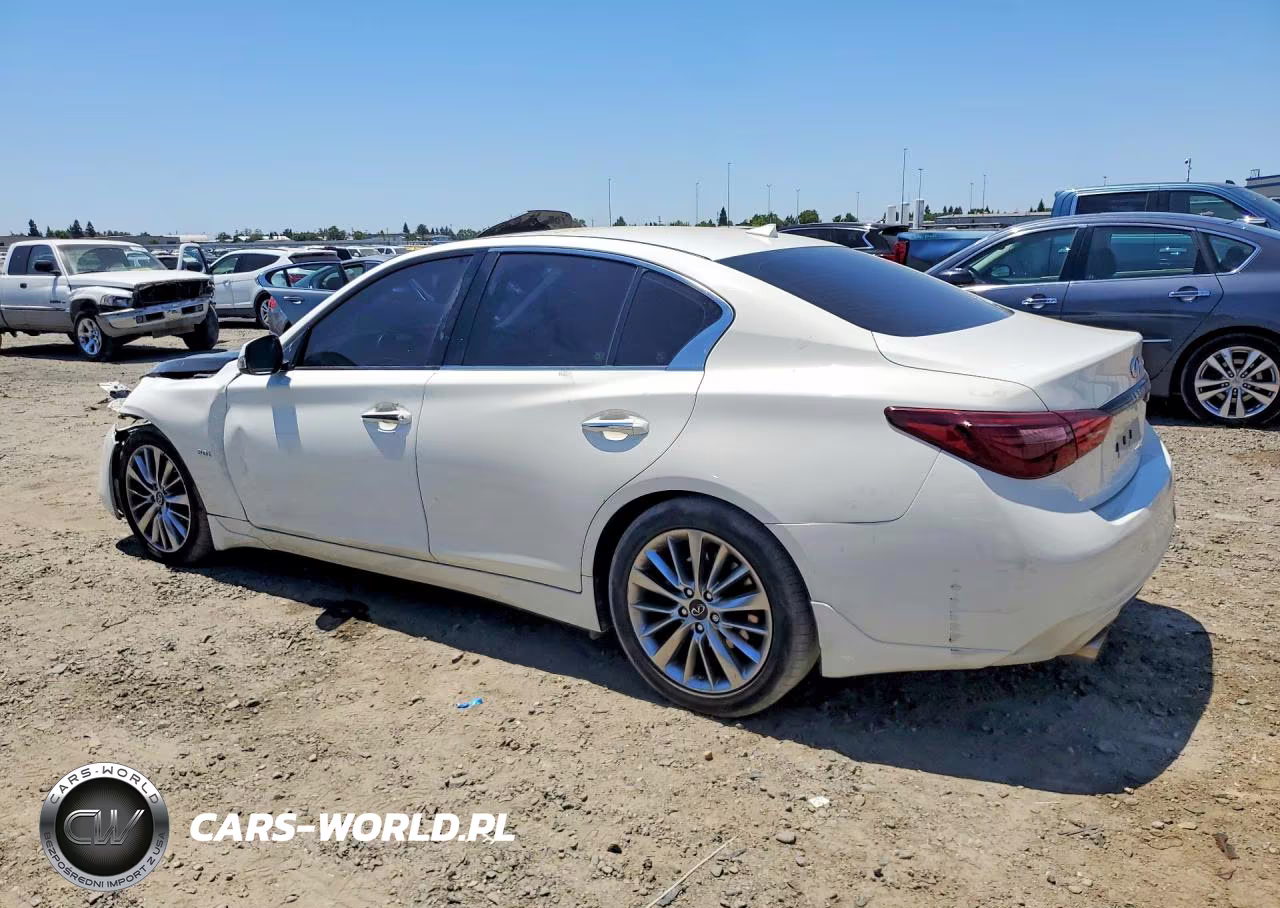 2019 INFINITI Q50 LUXE VIN:JN1EV7AP4KM543703 - 2