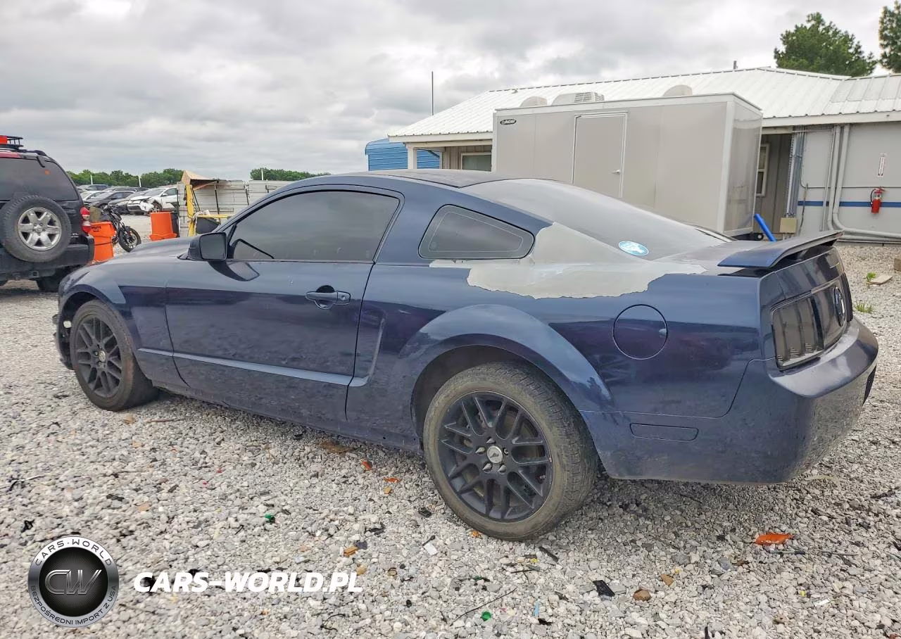 2006 Ford Mustang VIN:1ZVFT80N865110511 - 2