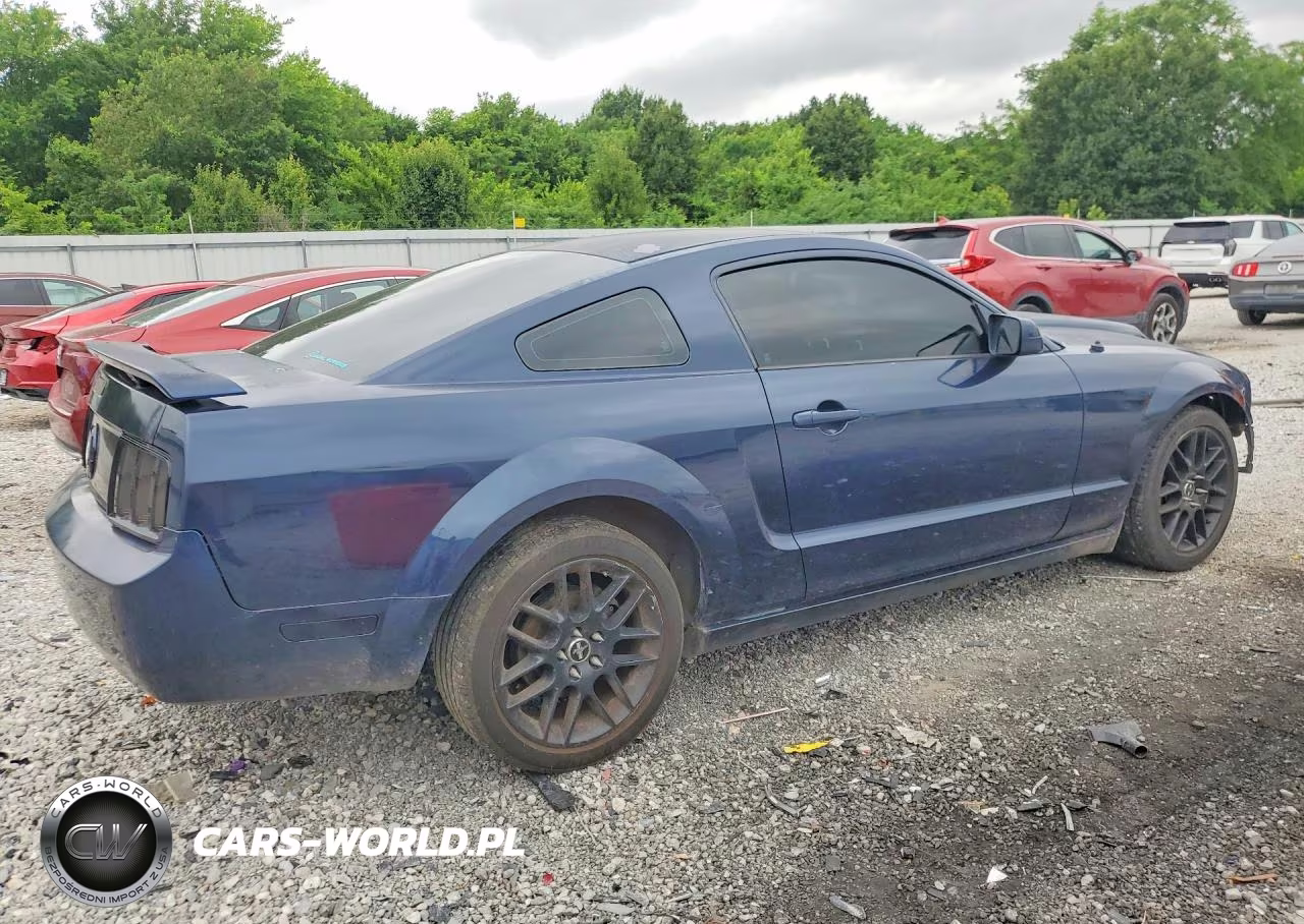 2006 Ford Mustang VIN:1ZVFT80N865110511 - 3