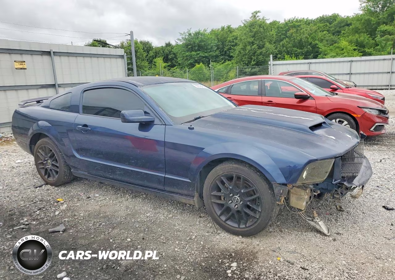 2006 Ford Mustang VIN:1ZVFT80N865110511 - 4