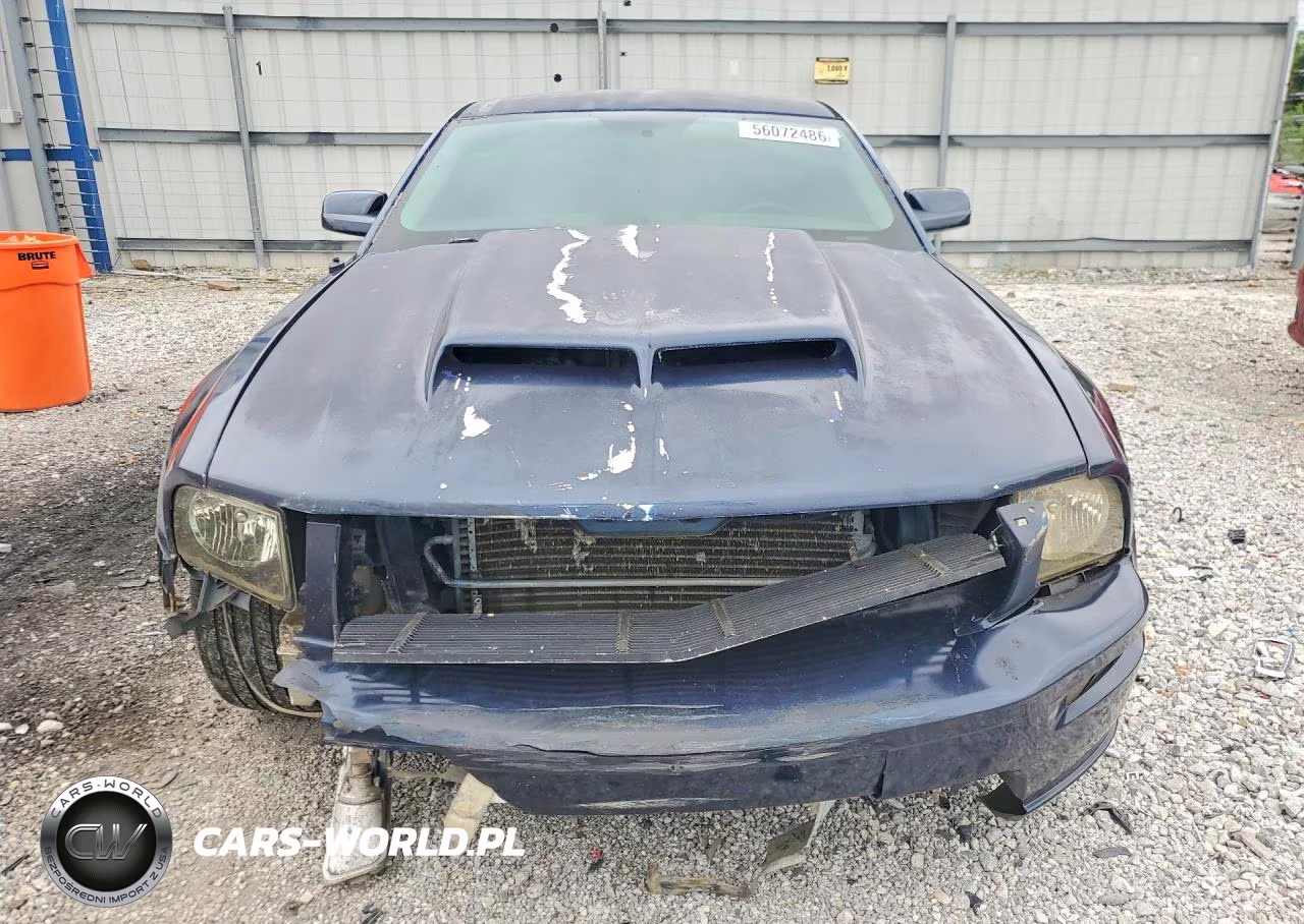 2006 Ford Mustang VIN:1ZVFT80N865110511 - 5