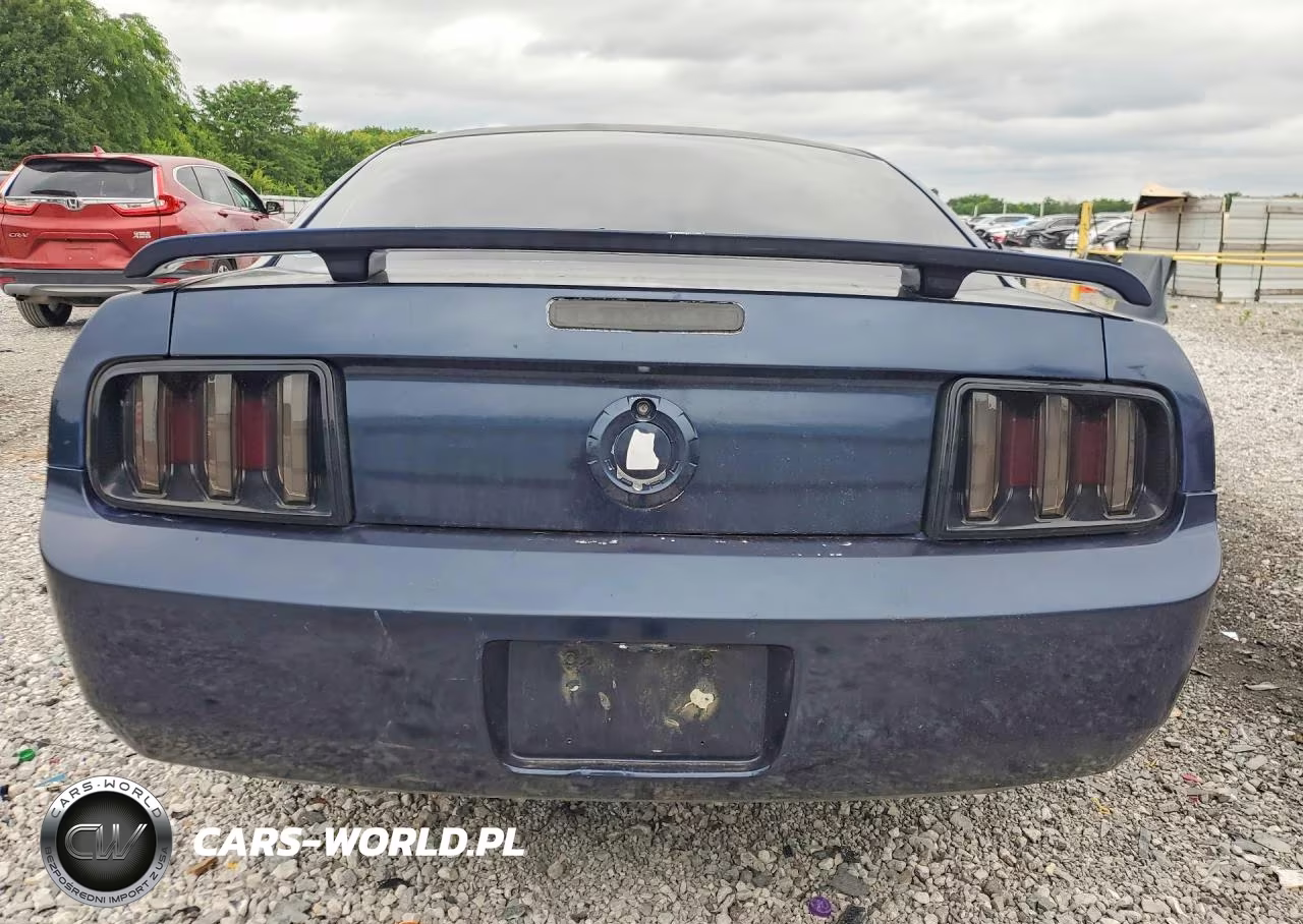 2006 Ford Mustang VIN:1ZVFT80N865110511 - 6