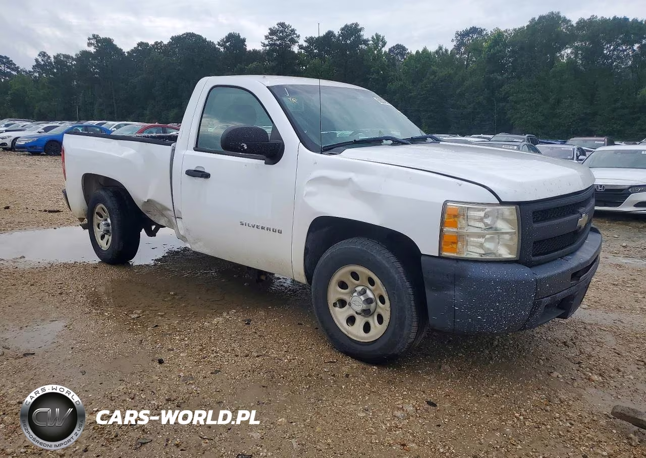 2010 Chevrolet Silverado C1500 VIN:1GCPCPEX8AZ299092 - 4
