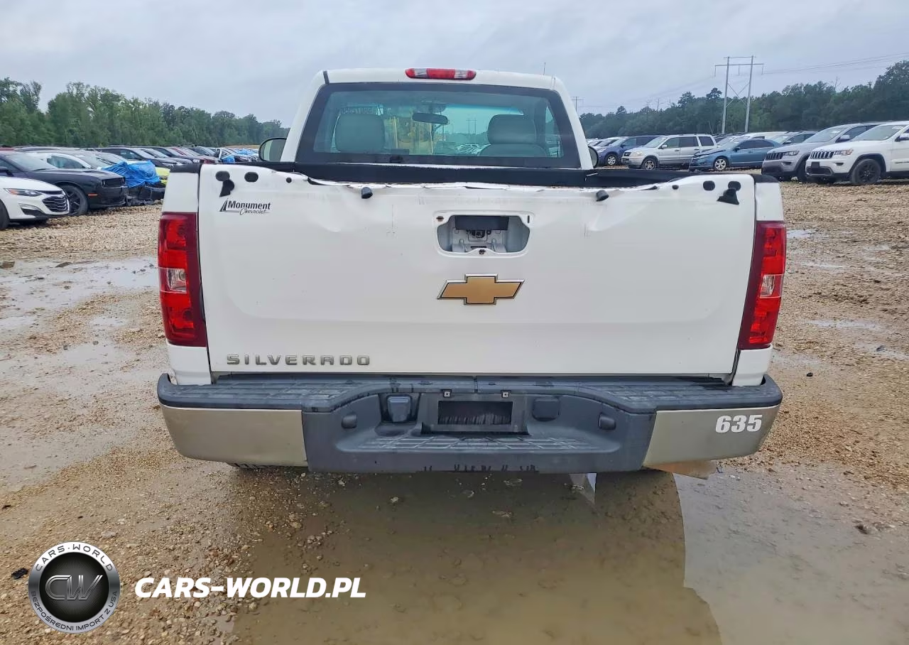 2010 Chevrolet Silverado C1500 VIN:1GCPCPEX8AZ299092 - 6