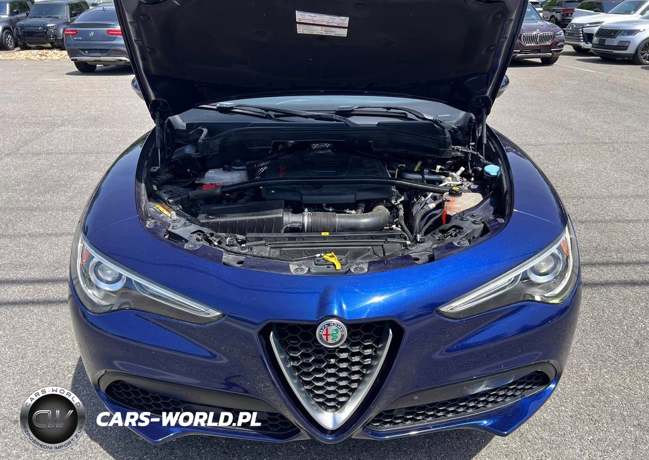 2019 Alfa Romeo Stelvio Ti VIN:ZASPAKBN7K7C71882 - 8