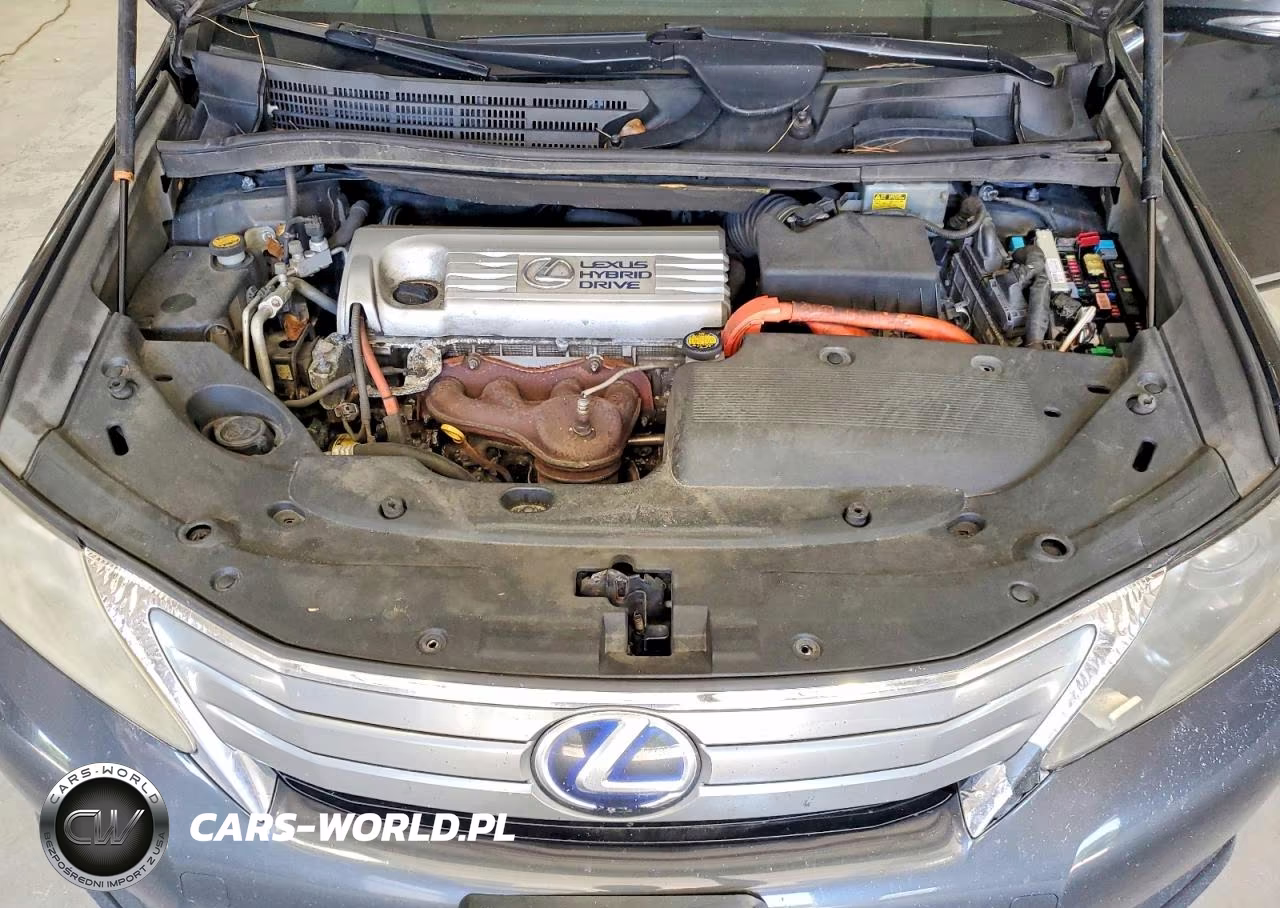 2010 Lexus Hs 250H VIN:JTHBB1BA3A2010153 - 11