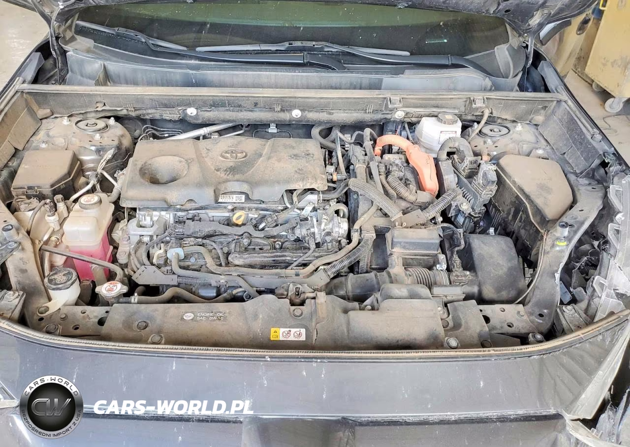 2023 Toyota Rav4 Se VIN:4T3T6RFV0PU129509 - 12