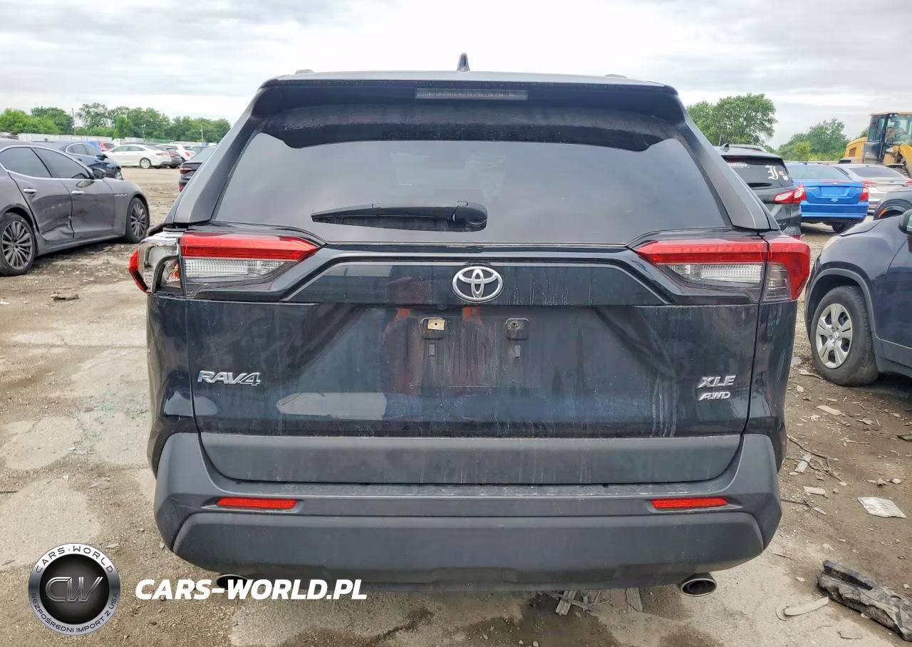 2019 Toyota Rav4 Xle VIN:JTMP1RFV7KD506696 - 6