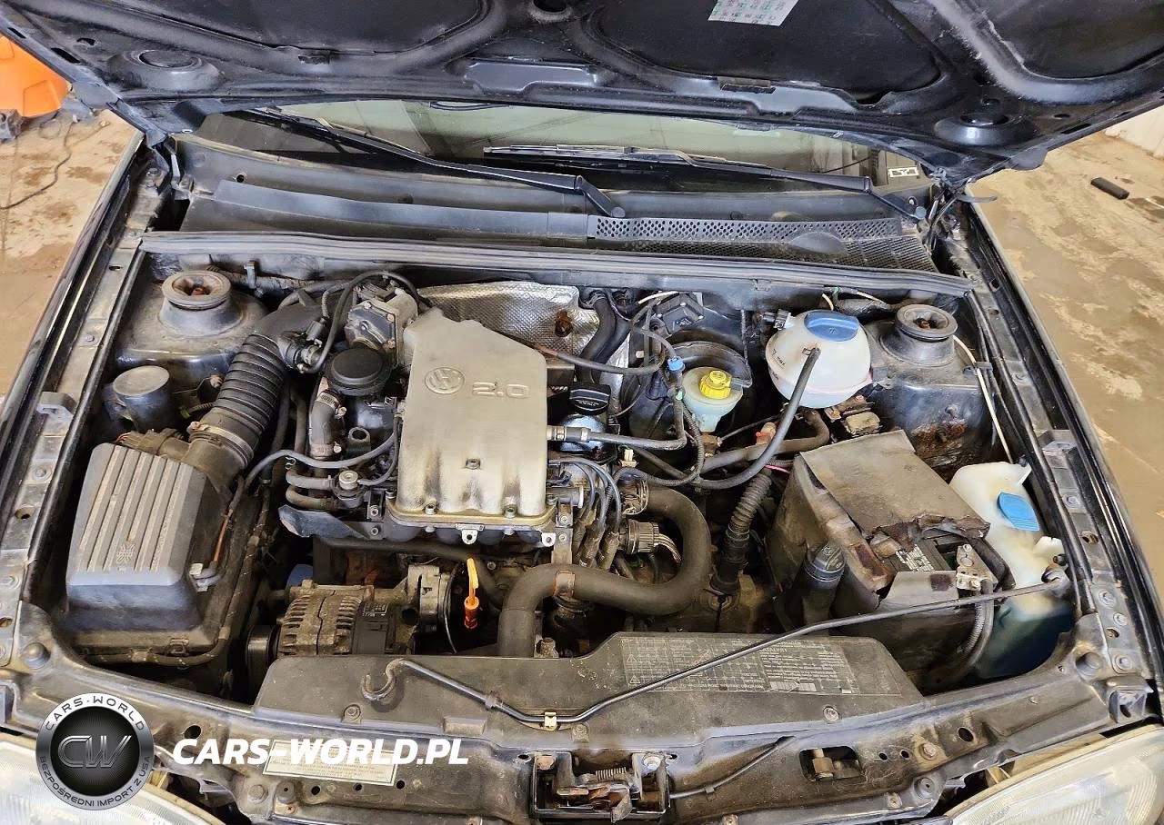 1999 Volkswagen Golf Wolfsburg VIN:3VWJA81HXXM215474 - 11