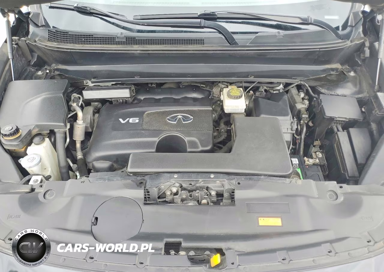 2019 Infiniti Qx60 Luxe VIN:5N1DL0MM6KC525339 - 12