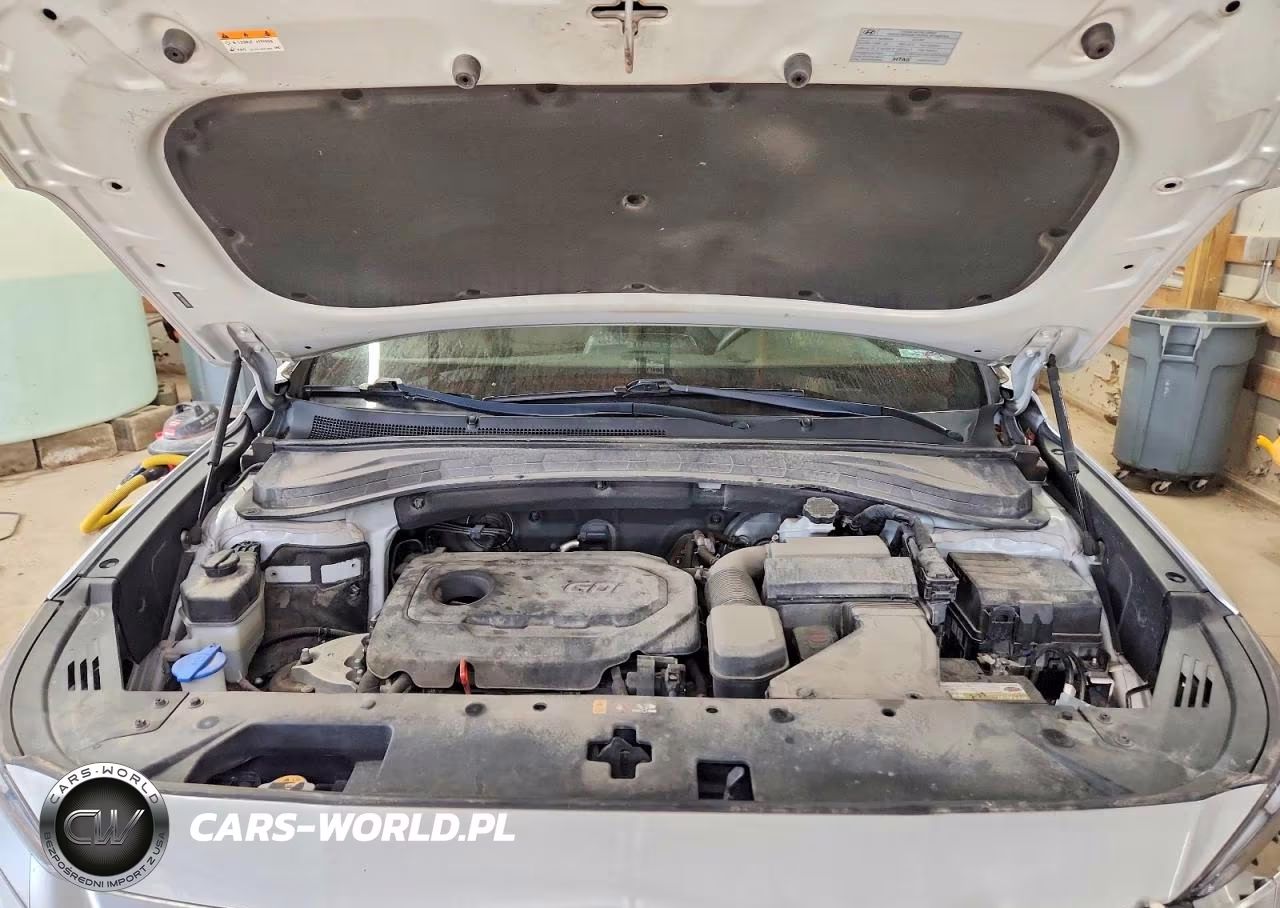 2019 Hyundai Santa Fe Sel 2.4L VIN:5NMS33AD6KH062055 - 12