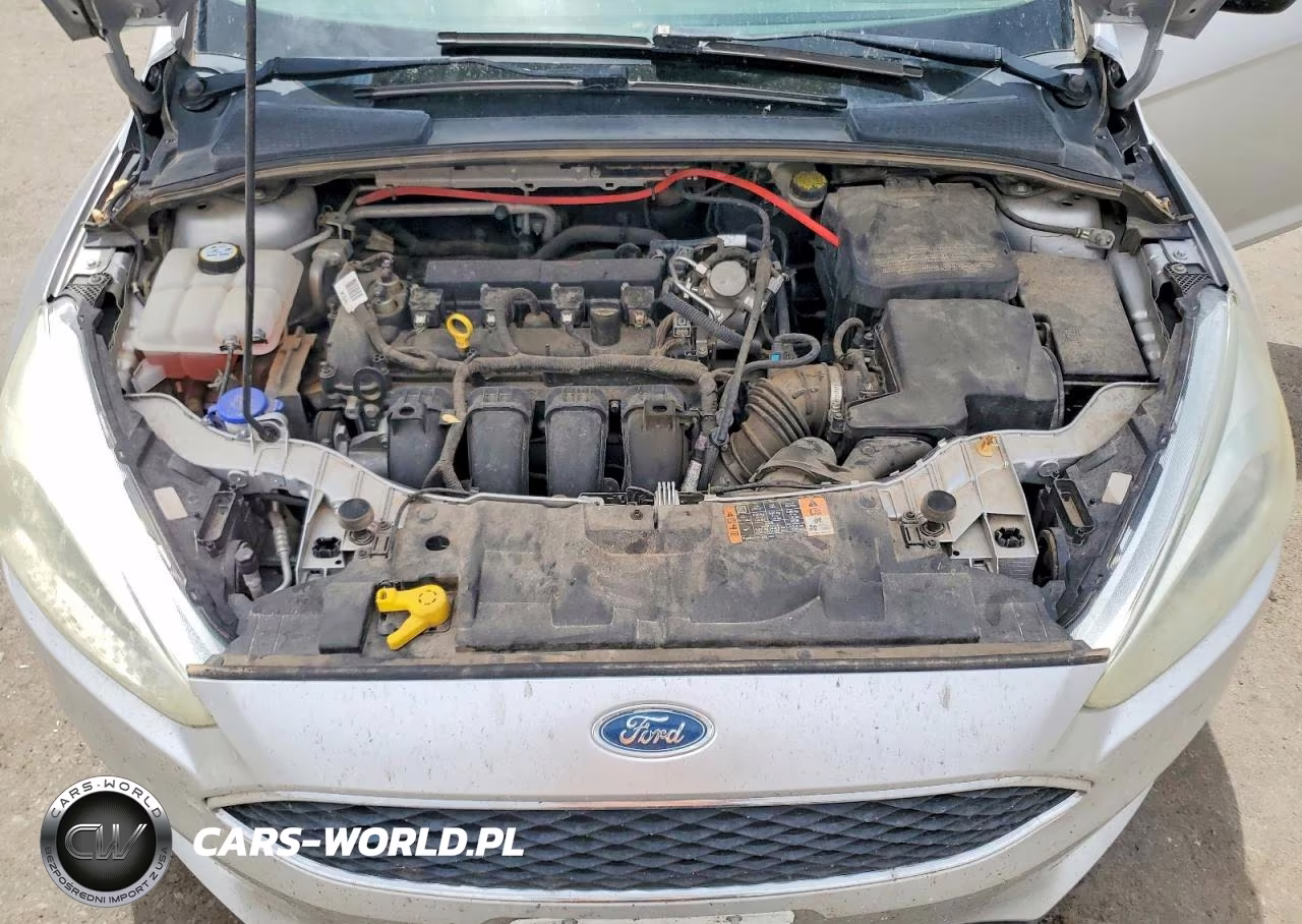 2016 Ford Focus Se VIN:1FADP3K27GL328933 - 11