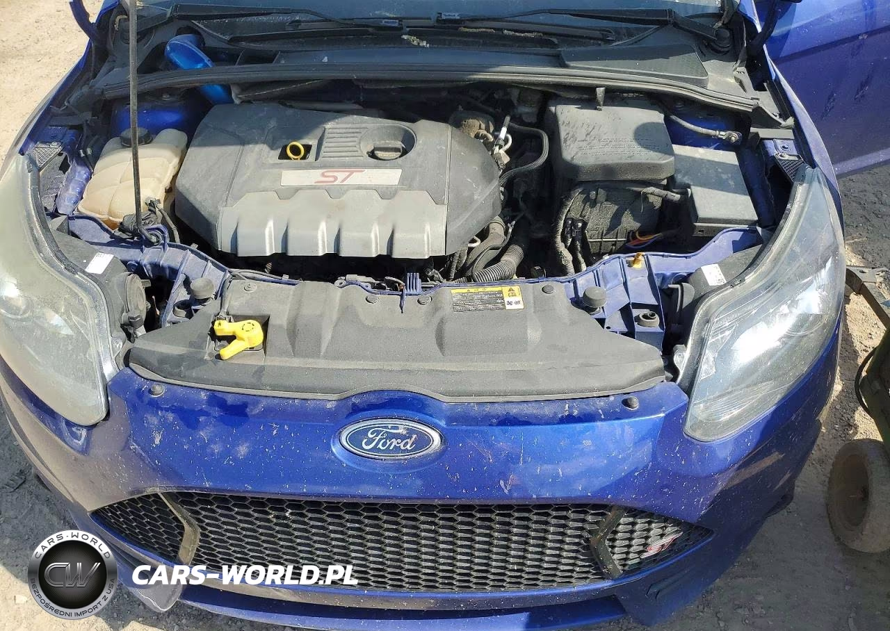 2014 Ford Focus St VIN:1FADP3L92EL120094 - 12