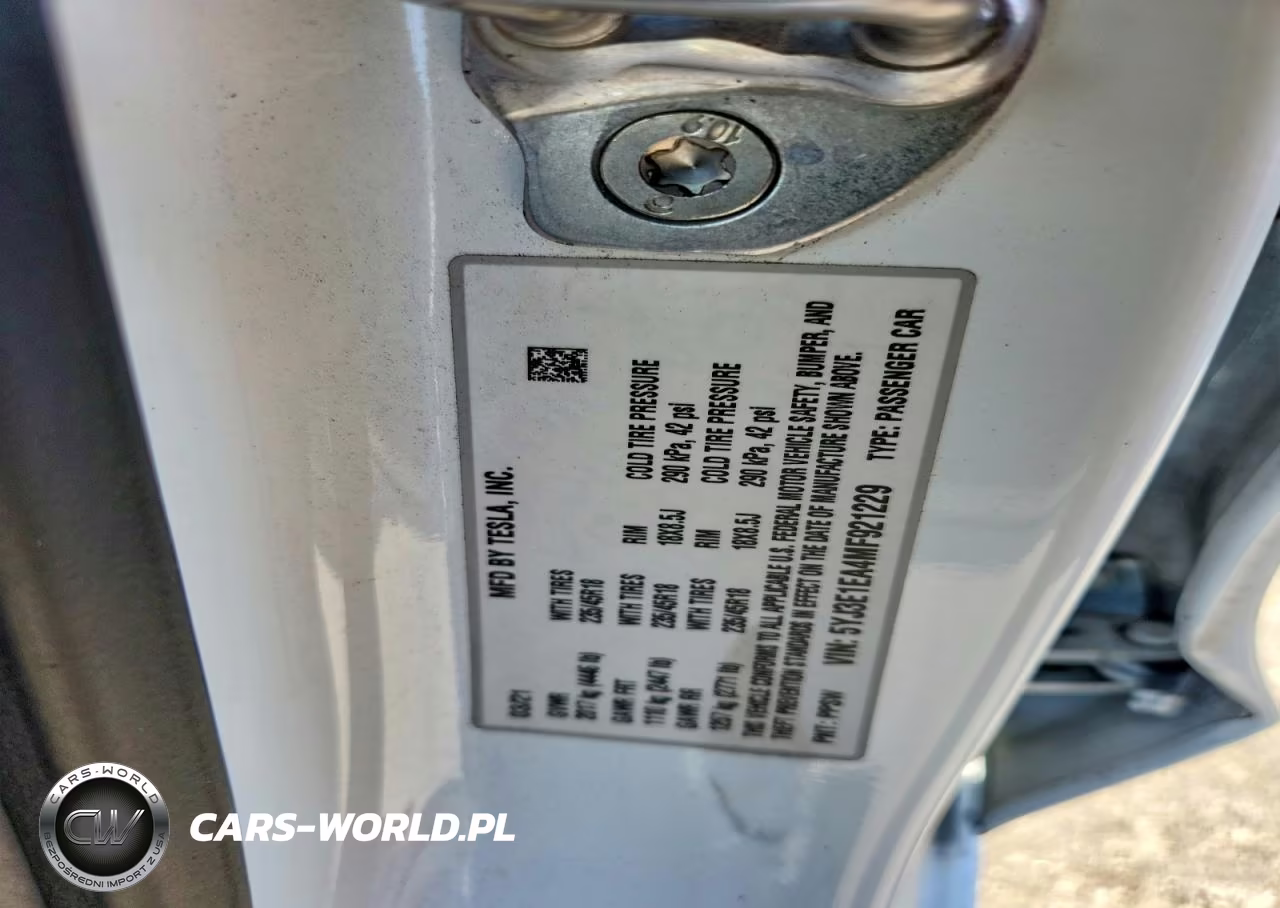 2021 Tesla Model 3 VIN:5YJ3E1EA4MF921229 - 13