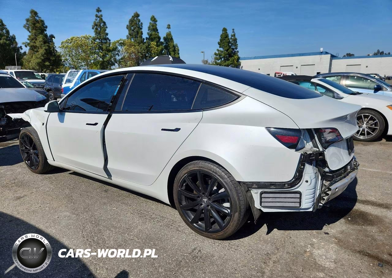 2021 Tesla Model 3 VIN:5YJ3E1EA4MF921229 - 2
