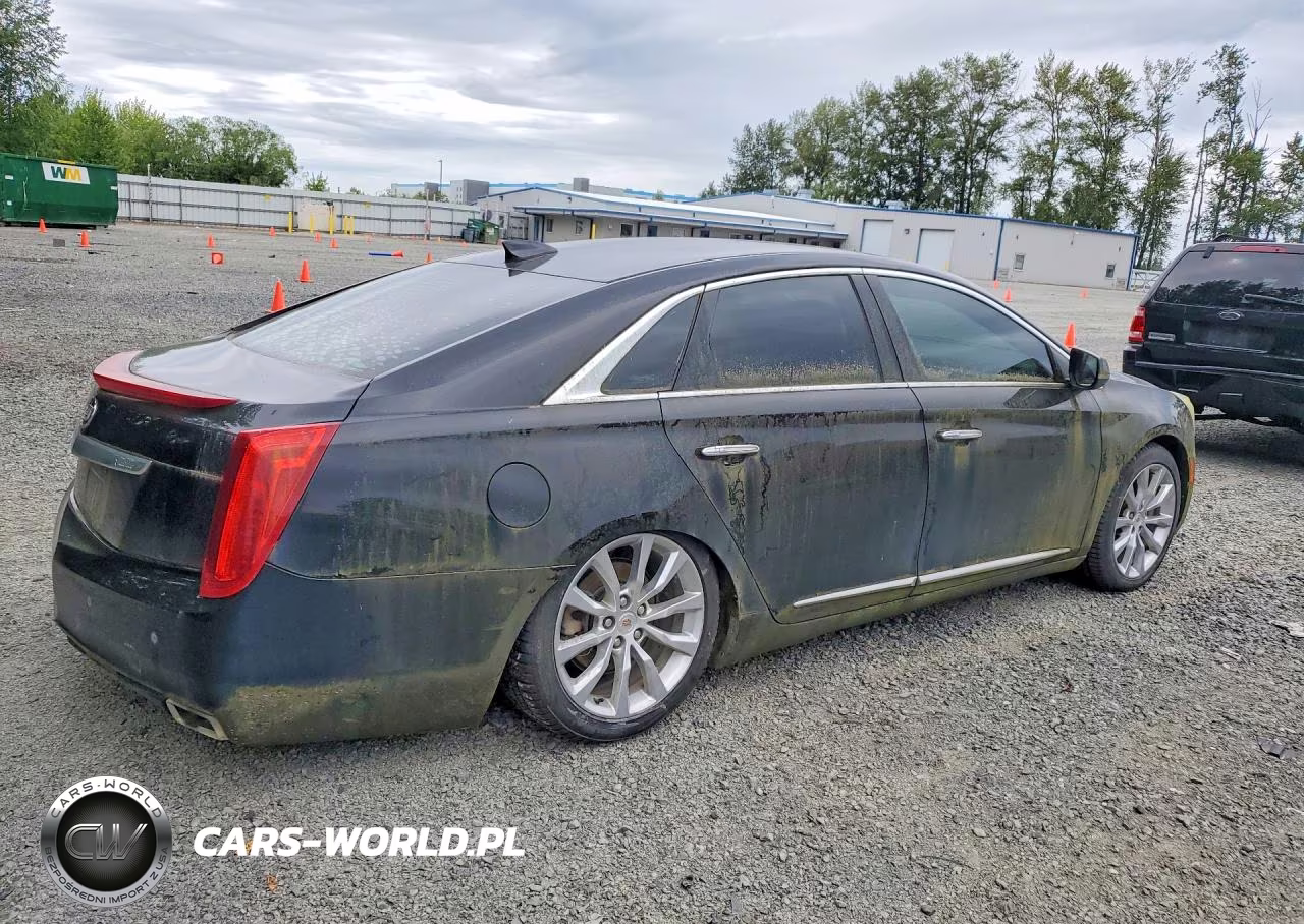 2015 Cadillac Xts Luxury Collection VIN:2G61N5S31F9223157 - 3