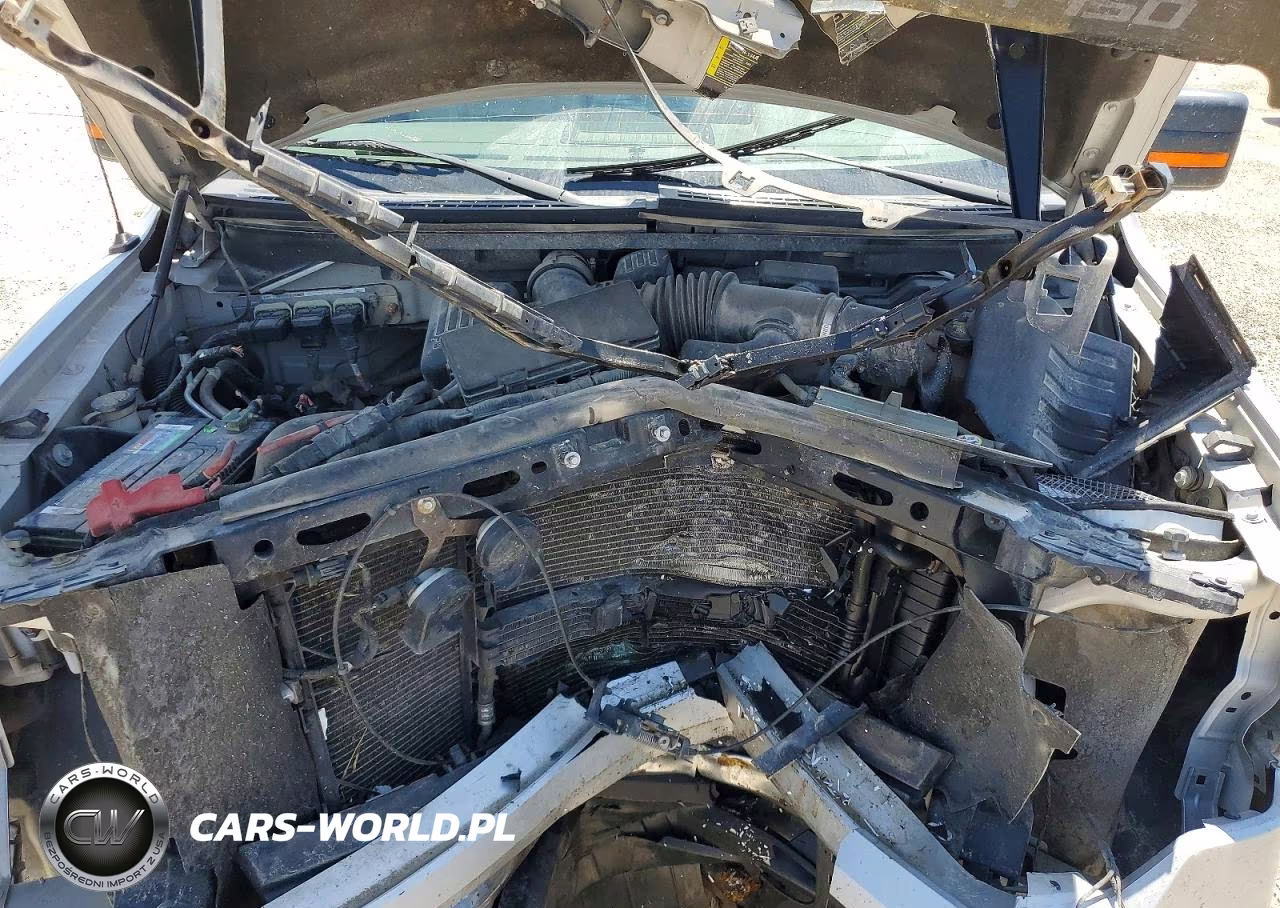 2010 Ford F150 Supercrew VIN:1FTFW1EV9AKA49478 - 11