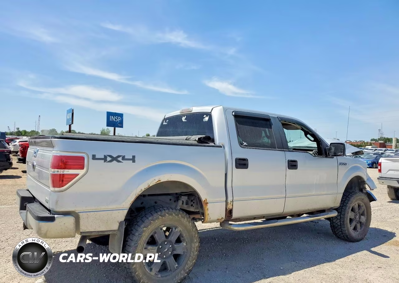 2010 Ford F150 Supercrew VIN:1FTFW1EV9AKA49478 - 3