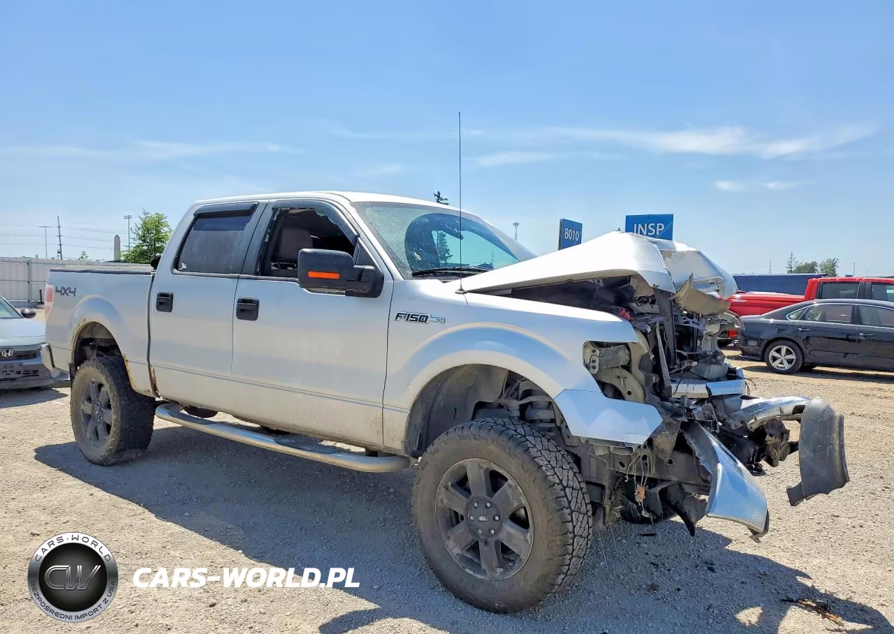 2010 Ford F150 Supercrew VIN:1FTFW1EV9AKA49478 - 4