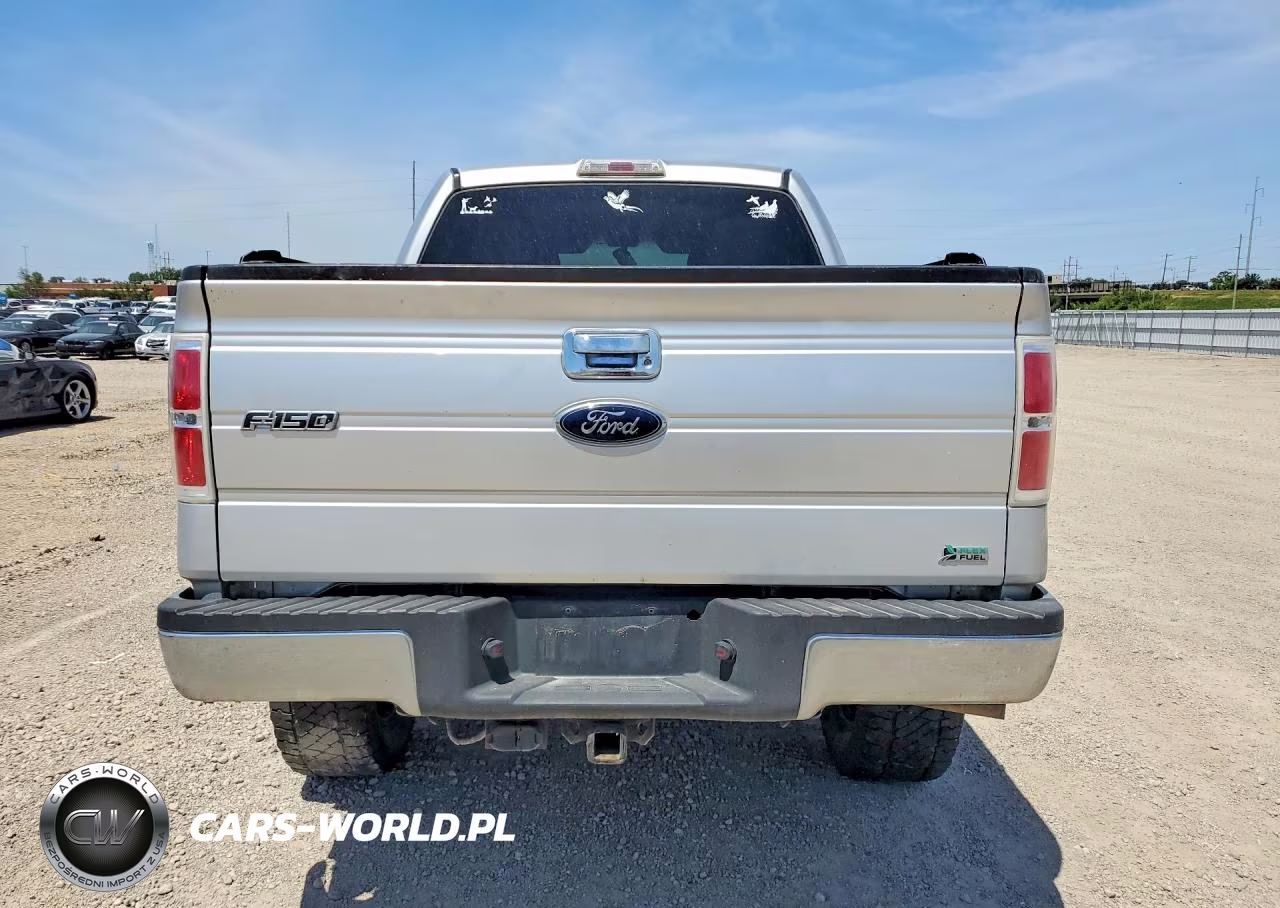 2010 Ford F150 Supercrew VIN:1FTFW1EV9AKA49478 - 6