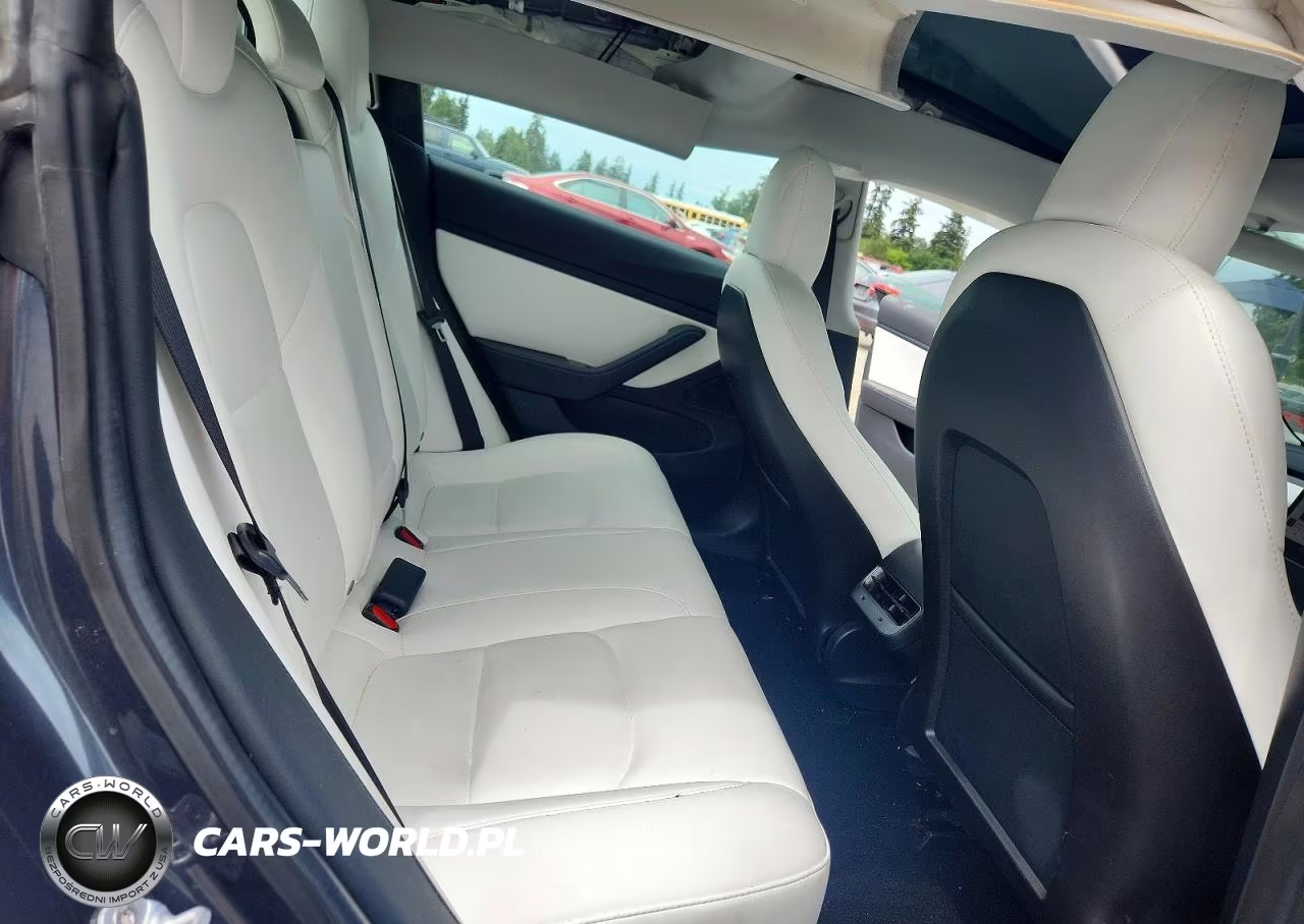 2020 Tesla Model 3 VIN:5YJ3E1EB5LF668736 - 10